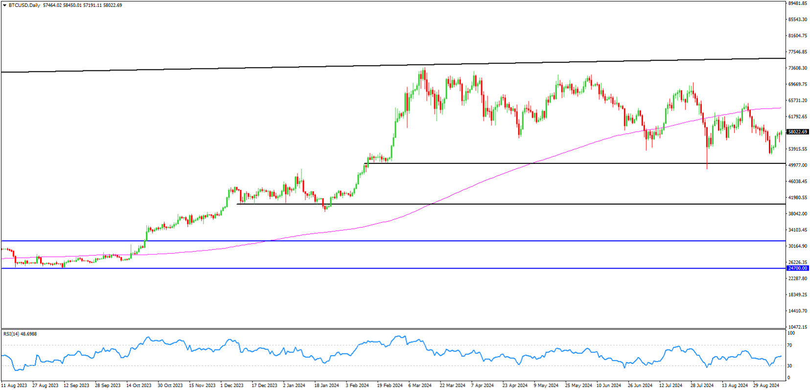 Bitcoin Analysis 12-September-2024